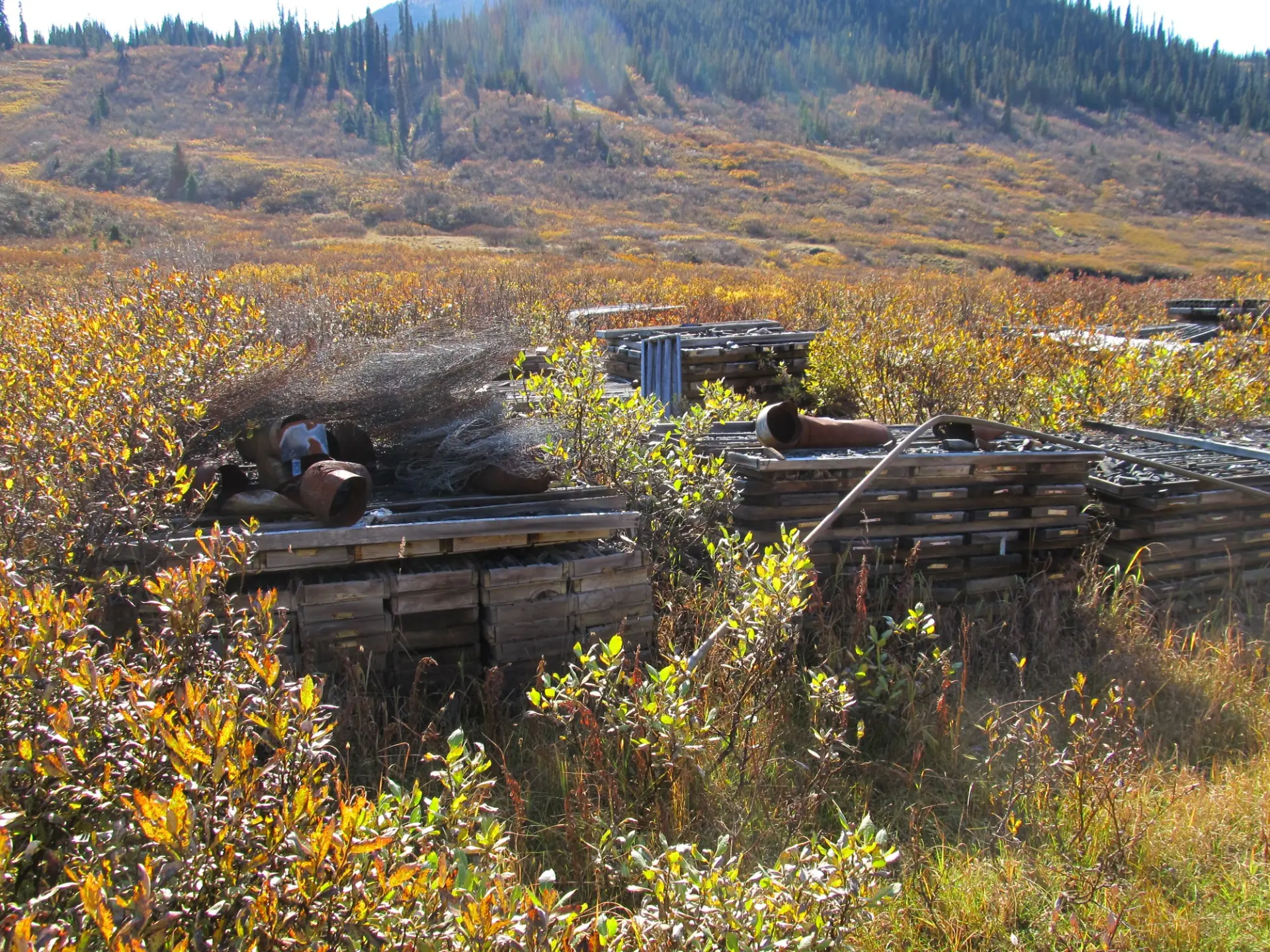 Historical drill core from the Bear/Spa property