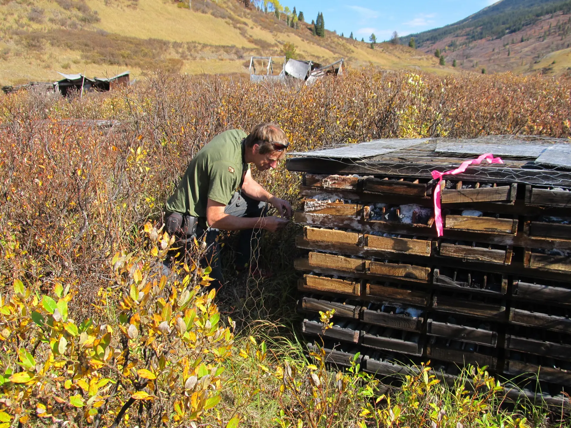 Inspection of the Bear/Spa historical drill core