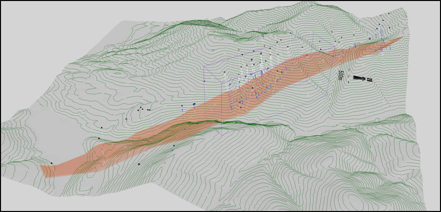 3D isometric view of the Cardiac Creek mineralised horizon with drill traces and the area of economic interest outlined