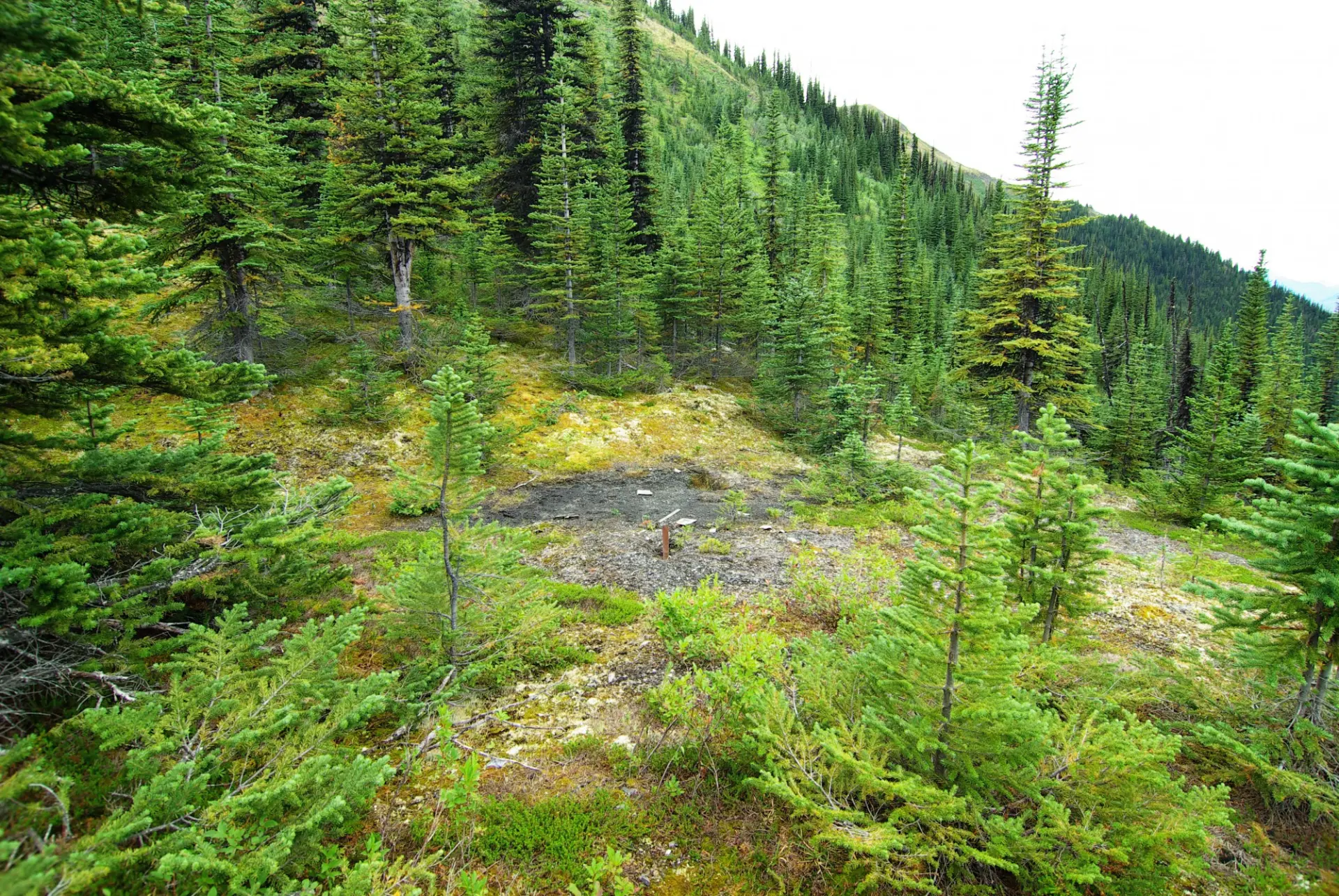 Historical drill collar on the Mt. Alcock property