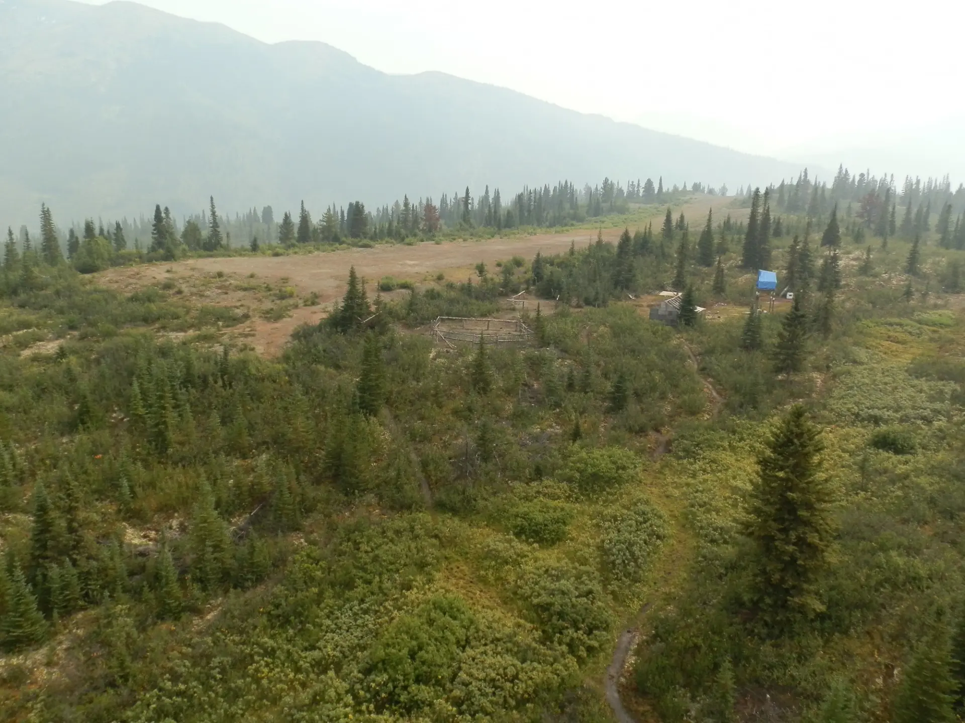 The old airstrip at the Driftpile property