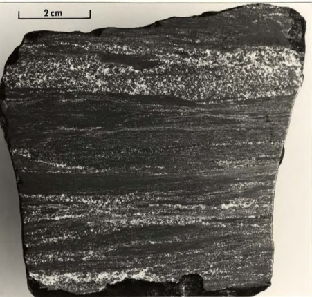 Mt. Alcock bedded barite with sphalerite and galena bands, sample AL-3