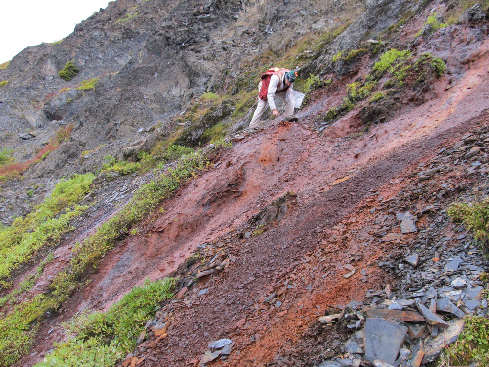 Prospecting and sampling of iron seeps on the historical Pelly property