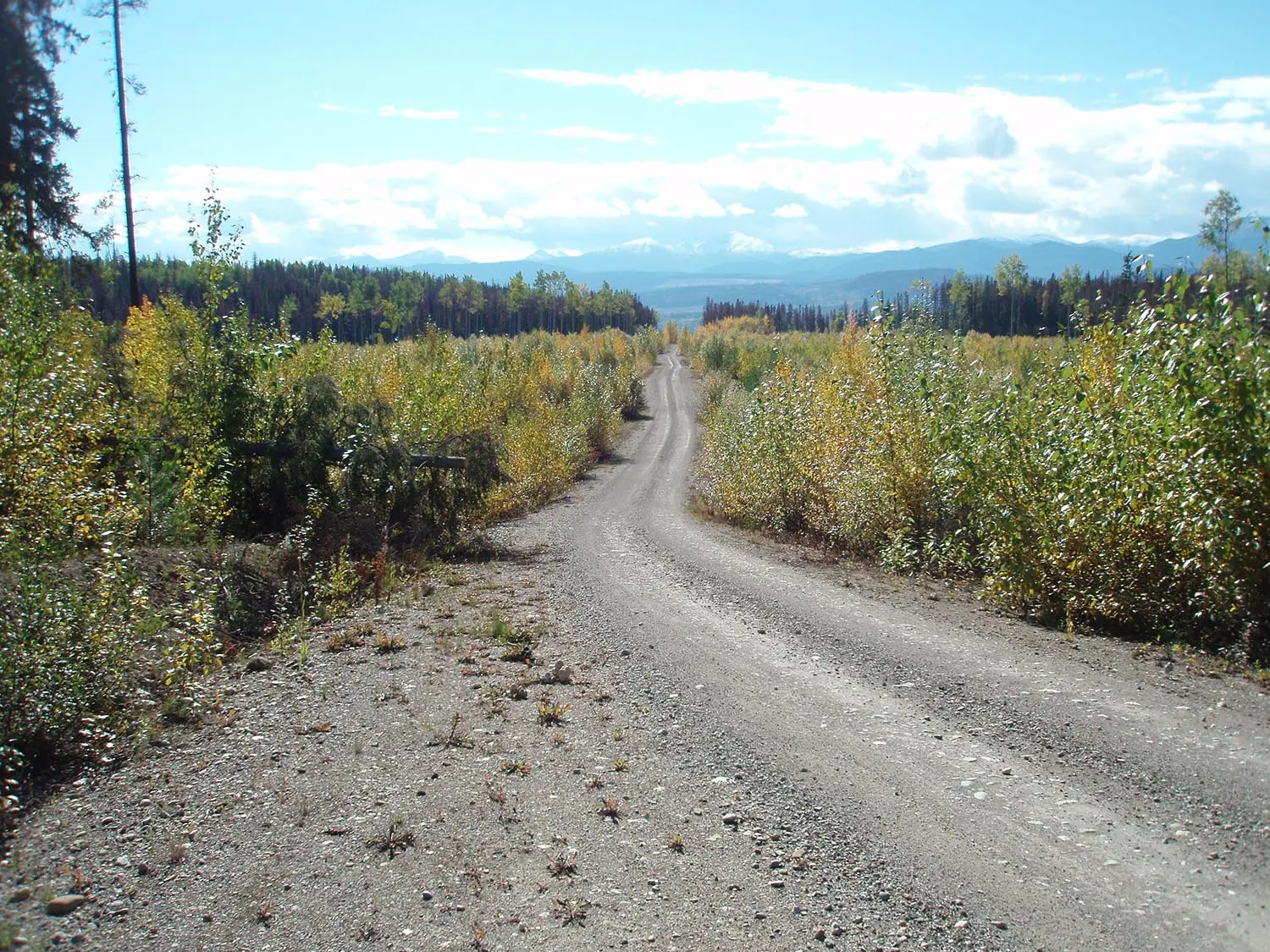 All-weather gravel Forest Service Road leading to the Akie camp and the Cardiac Creek deposit.