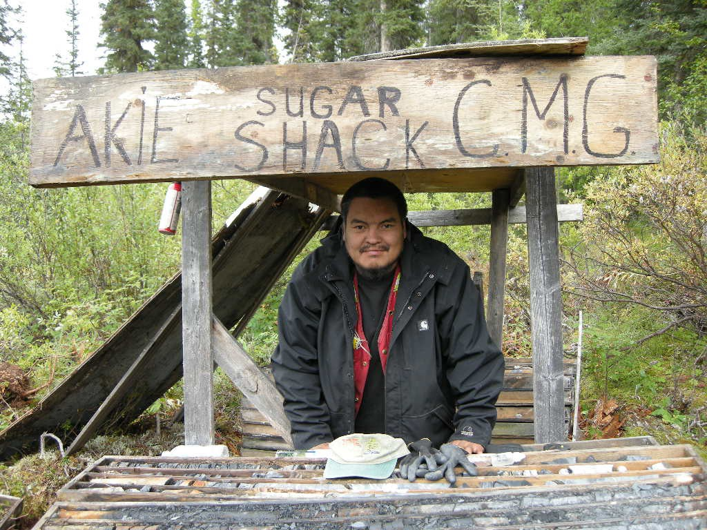 Relogging of historical Mt. Alcock drill core