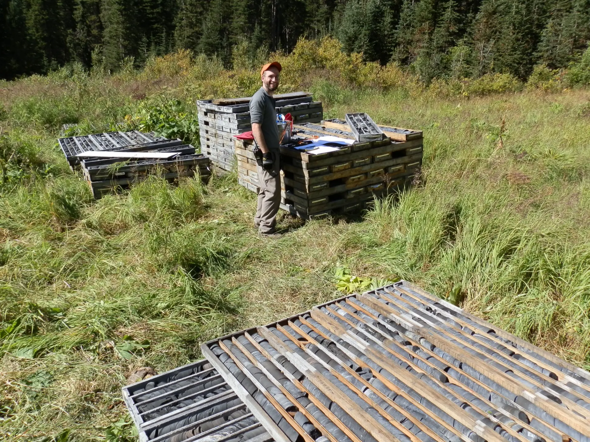 Relogging of historical Pie drill core