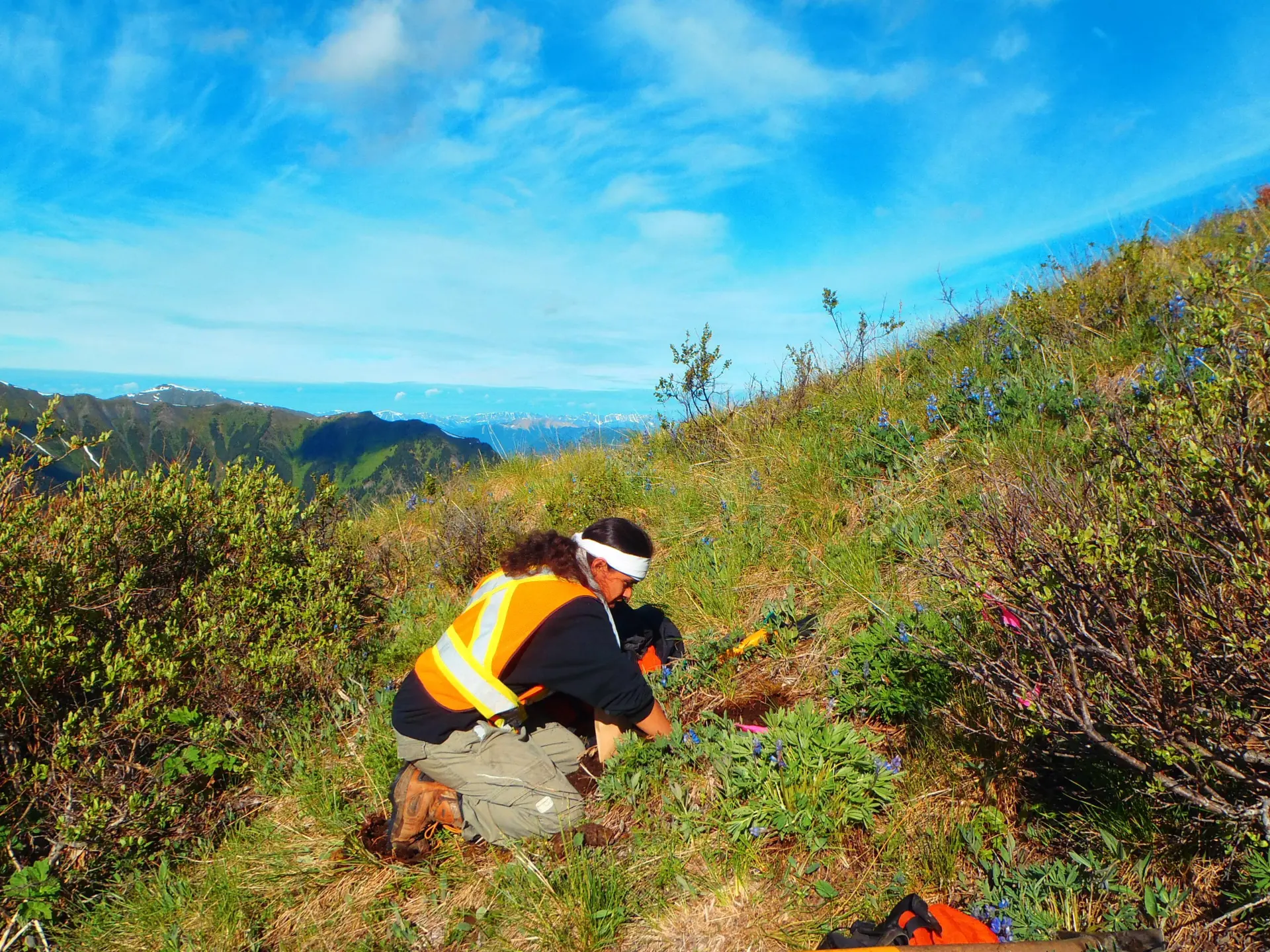 Soil sampling on the Yuen North property