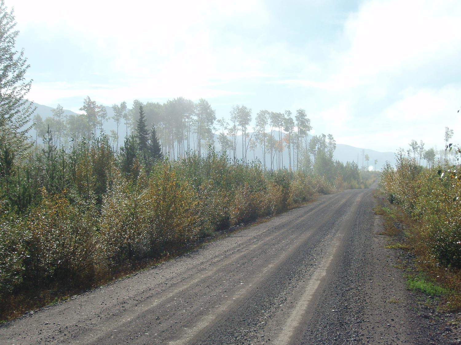 Finlay Mainline Forest Service Road winding through forested terrain toward the Akie property.