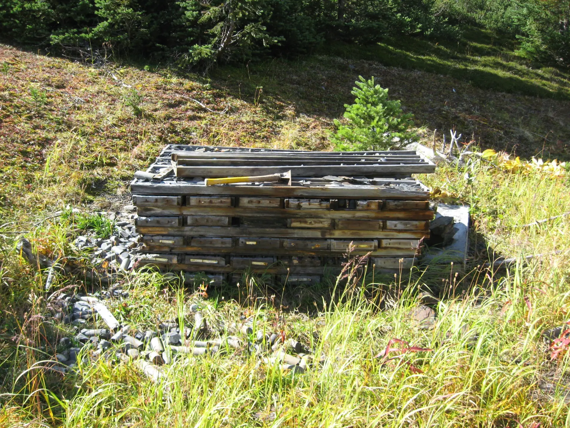 Historical drill core from the Yuen property