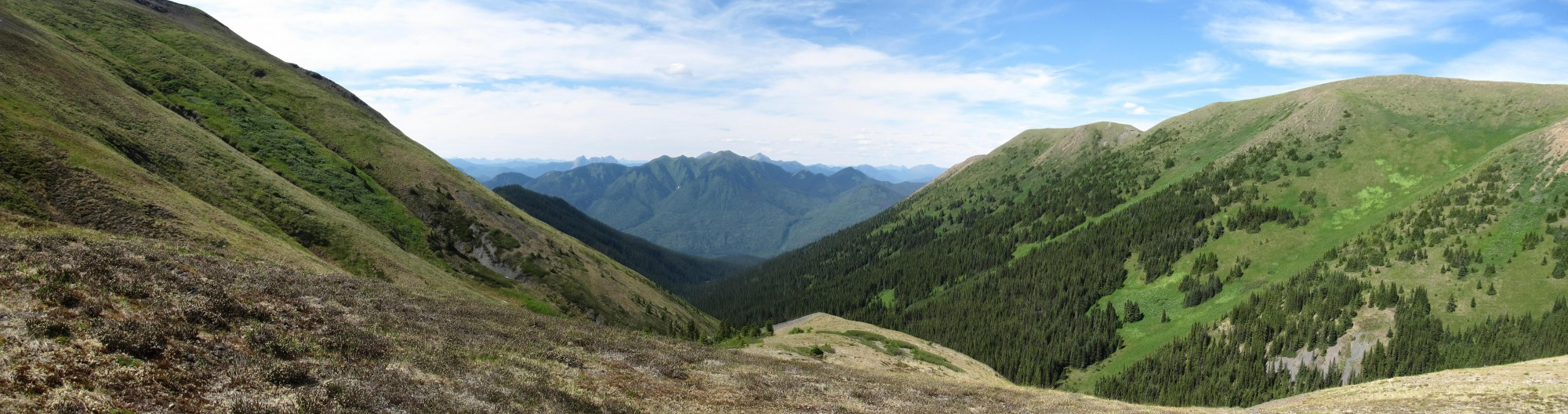 View from the Yuen North property looking northwest towards the Mt. Alcock property.