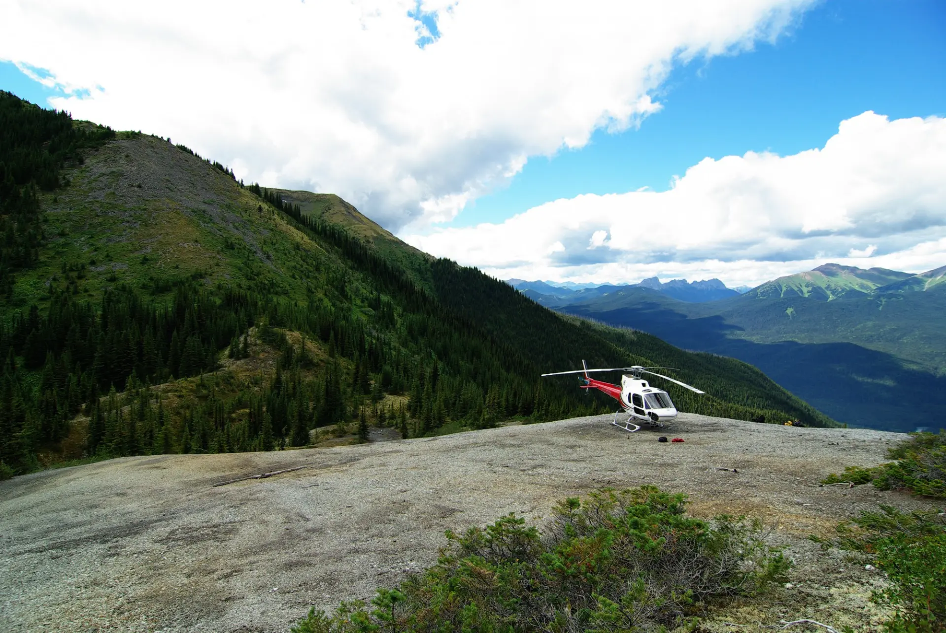 The barite kill zone on the Mt. Alcock property